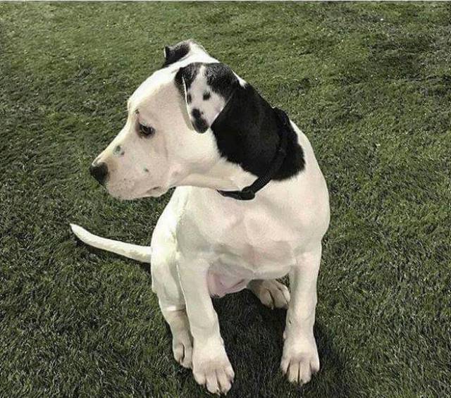 morning picdump 50 pics 8.html - 50 HD Photos | Premium Gallery 2017