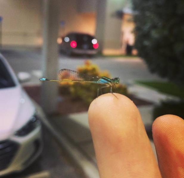 morning picdump 50 pics 8.html - 50 HD Photos | Premium Gallery 2017