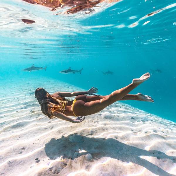 grownup corner 64 pics 2 gifs 4.html - 64 HD GIF | Premium Gallery 2017