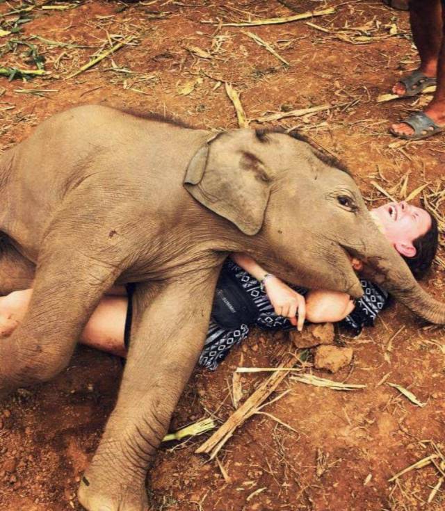 morning picdump 55 pics 5.html - 55 HD Photos | Premium Gallery 2017