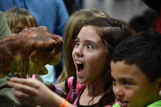 daily picdump 91 pics 46.html - 91 HD Photos | Premium Gallery 2017