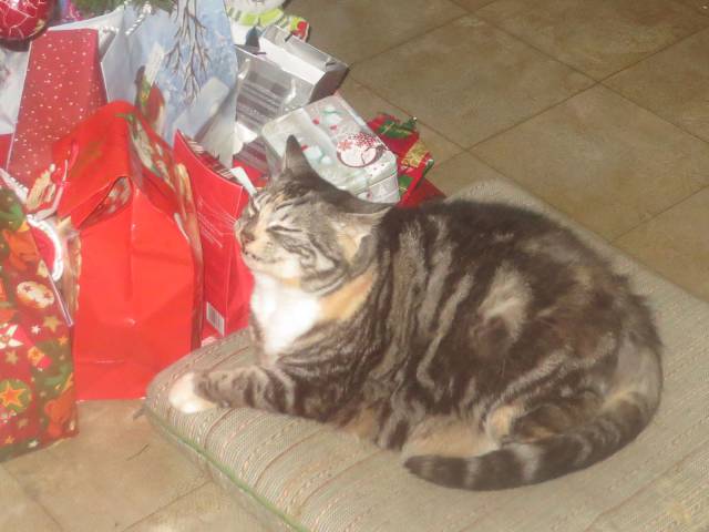 daily picdump 91 pics 46.html - 91 HD Photos | Premium Gallery 2017