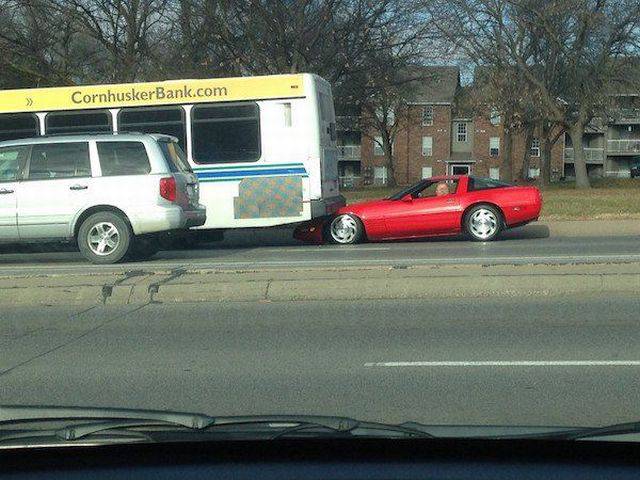 daily picdump 91 pics 46.html - 91 HD Photos | Premium Gallery 2017