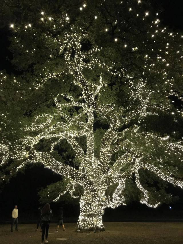 daily picdump 91 pics 46.html - 91 HD Photos | Premium Gallery 2017