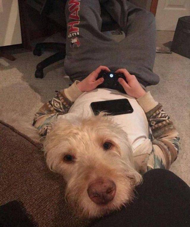 daily picdump 91 pics 46.html - 91 HD Photos | Premium Gallery 2017