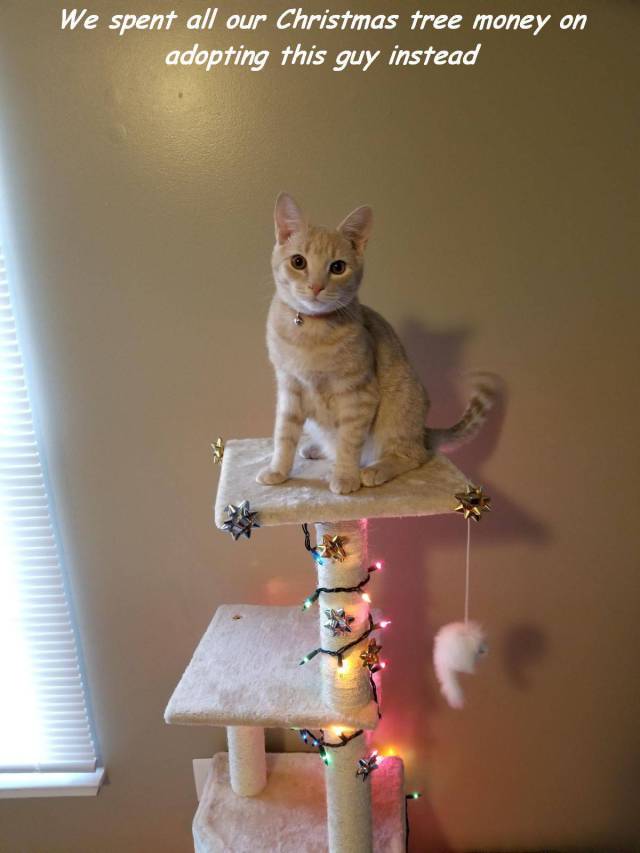 daily picdump 91 pics 46.html - 91 HD Photos | Premium Gallery 2017