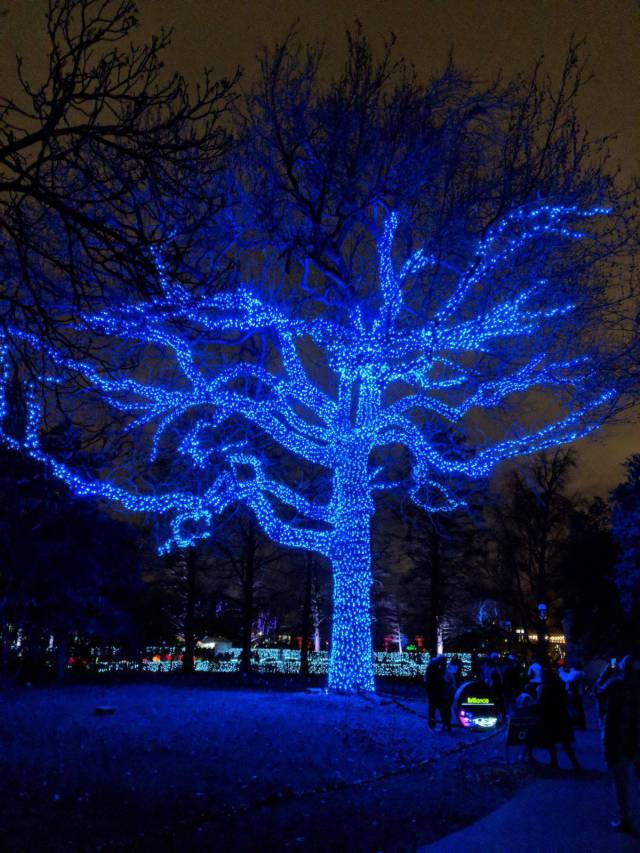 daily picdump 91 pics 46.html - 91 HD Photos | Premium Gallery 2017