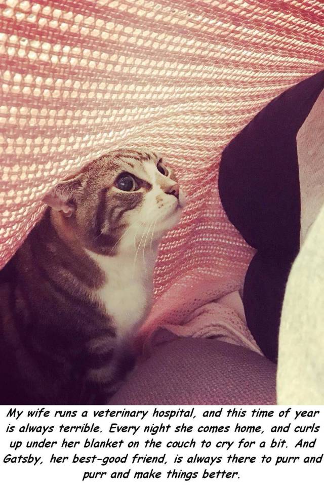 daily picdump 91 pics 46.html - 91 HD Photos | Premium Gallery 2017