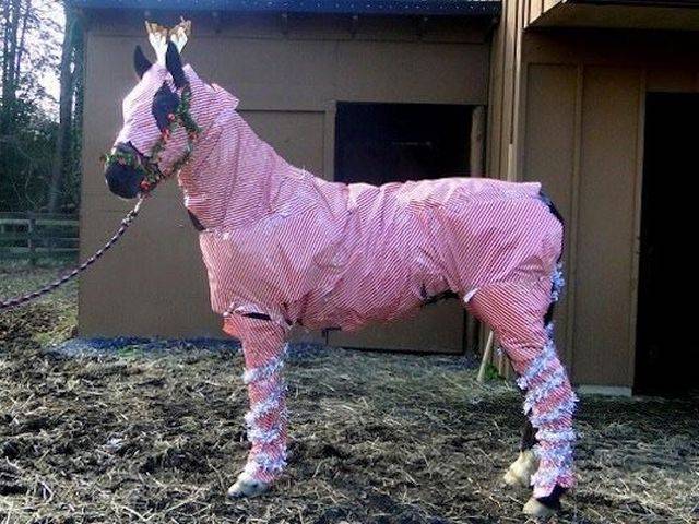 Daily Picdump [WEEKEND EDITION]