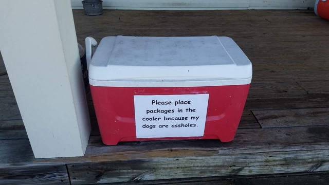 daily picdump weekend edition 60 pics 5.html - 60 HD Photos | Premium Gallery 2017