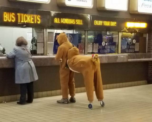 daily picdump weekend edition 60 pics 5.html - 60 HD Photos | Premium Gallery 2017