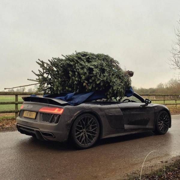 daily picdump weekend edition 60 pics 5.html - 60 HD Photos | Premium Gallery 2017