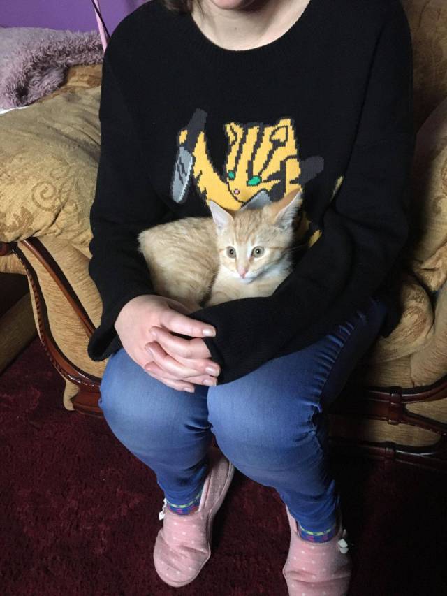 daily picdump weekend edition 60 pics 5.html - 60 HD Photos | Premium Gallery 2017