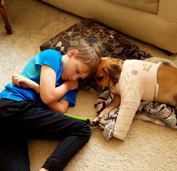 daily picdump 90 pics 2.html - 90 HD Photos | Premium Gallery 2017