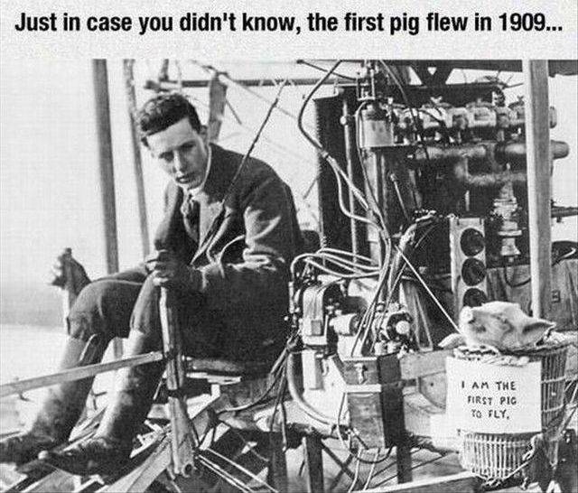 daily picdump 90 pics 2.html - 90 HD Photos | Premium Gallery 2017