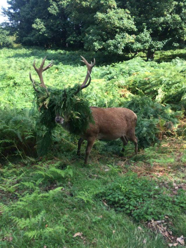 daily picdump 90 pics 2.html - 90 HD Photos | Premium Gallery 2017