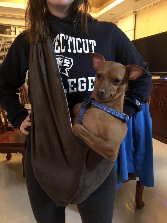 daily picdump 90 pics 2.html - 90 HD Photos | Premium Gallery 2017