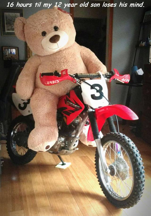 daily picdump 90 pics 2.html - 90 HD Photos | Premium Gallery 2017