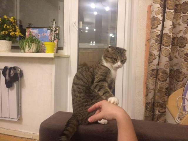 daily picdump 94 pics 4.html - 94 HD Photos | Premium Gallery 2017