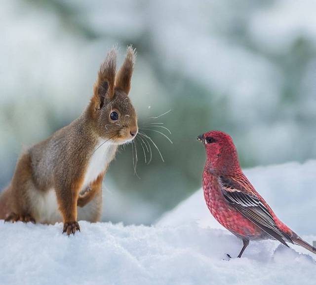 daily picdump 94 pics 4.html - 94 HD Photos | Premium Gallery 2017