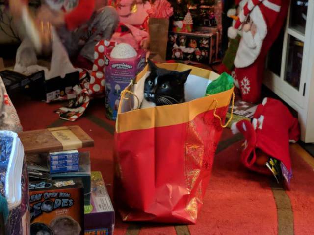 daily picdump 94 pics 4.html - 94 HD Photos | Premium Gallery 2017