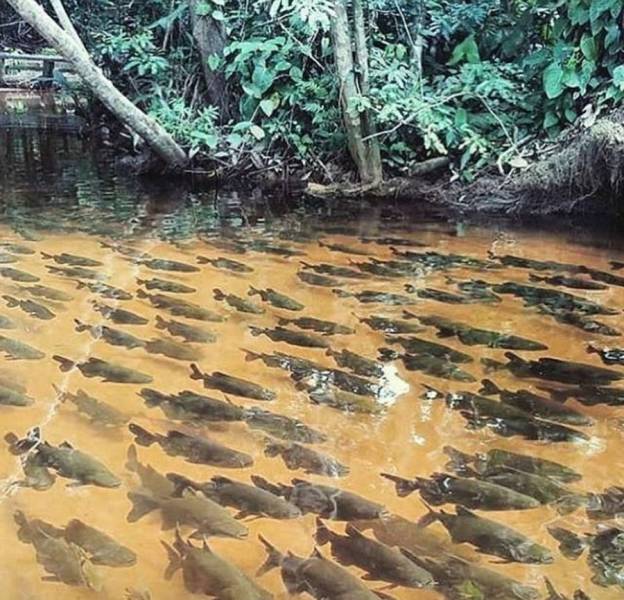 daily picdump 94 pics 4.html - 94 HD Photos | Premium Gallery 2017