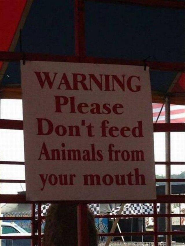 daily picdump 94 pics 4.html - 94 HD Photos | Premium Gallery 2017