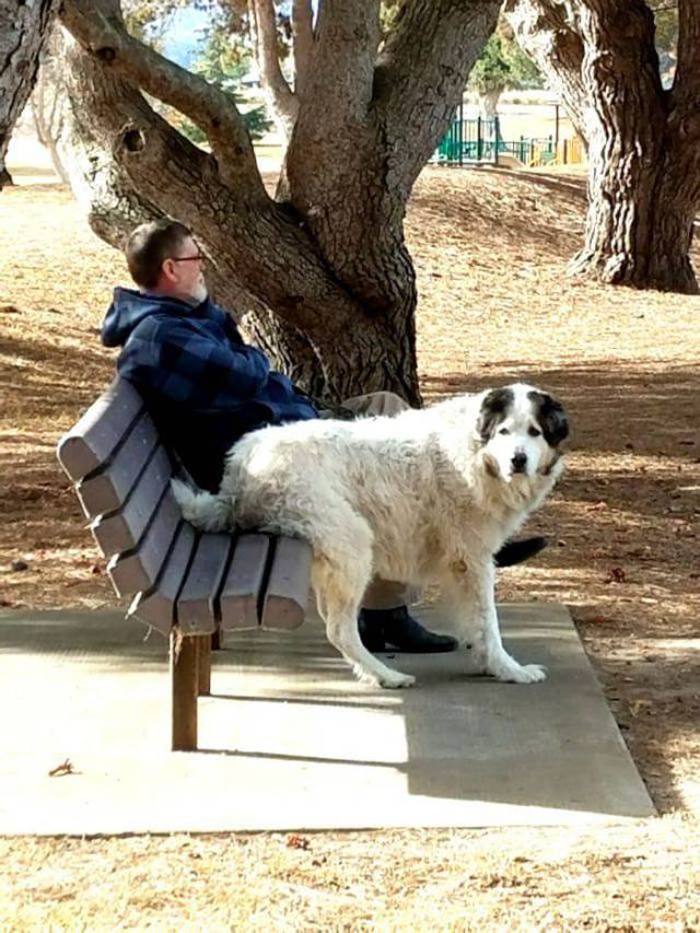 daily picdump 94 pics 4.html - 94 HD Photos | Premium Gallery 2017