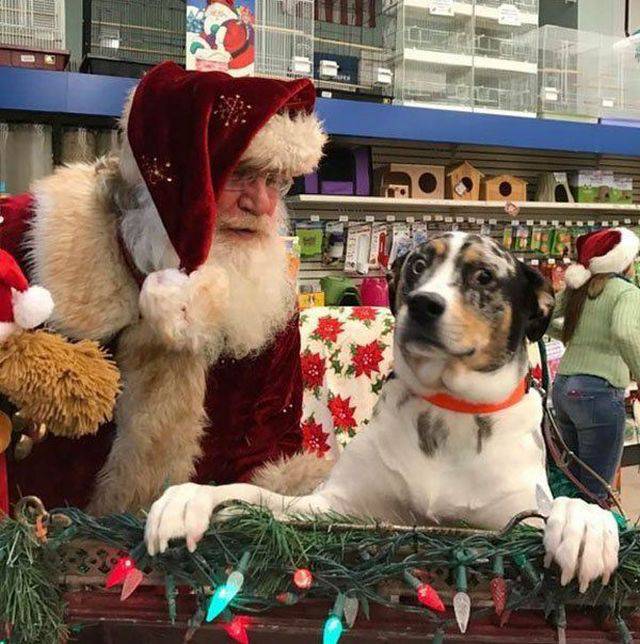 daily picdump 94 pics 4.html - 94 HD Photos | Premium Gallery 2017