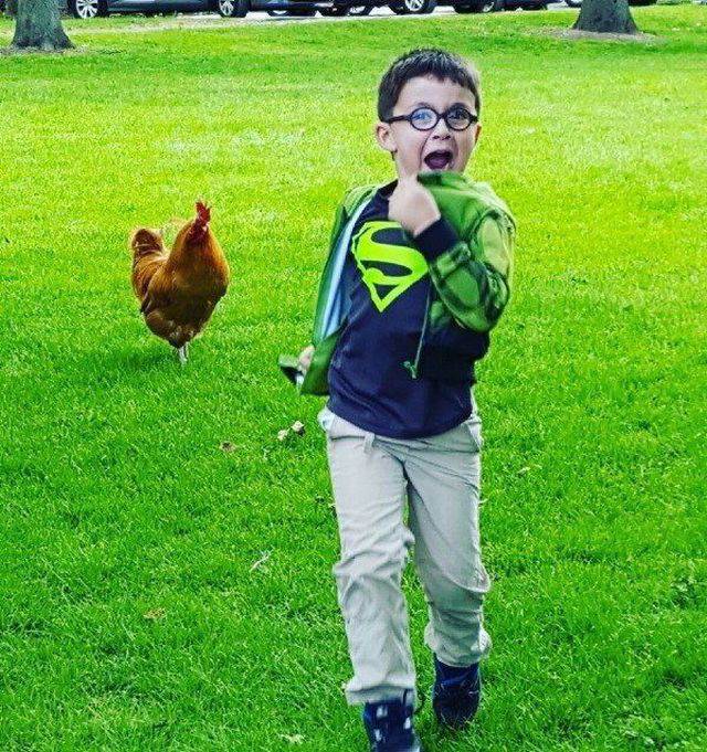 daily picdump 94 pics 4.html - 94 HD Photos | Premium Gallery 2017