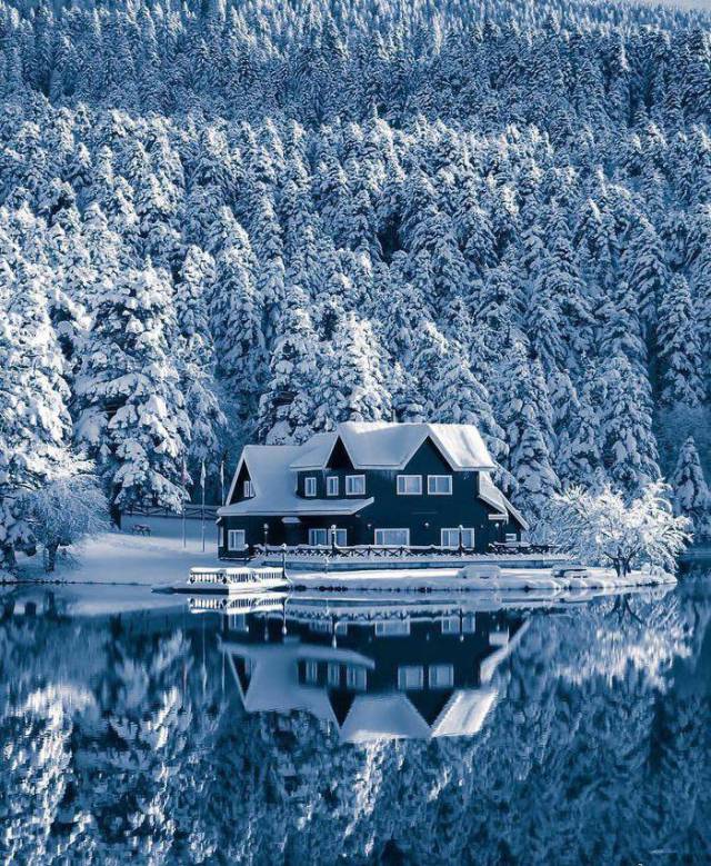 daily picdump 94 pics 4.html - 94 HD Photos | Premium Gallery 2017