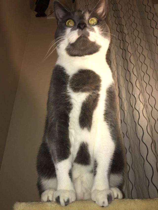 daily picdump 94 pics 4.html - 94 HD Photos | Premium Gallery 2017