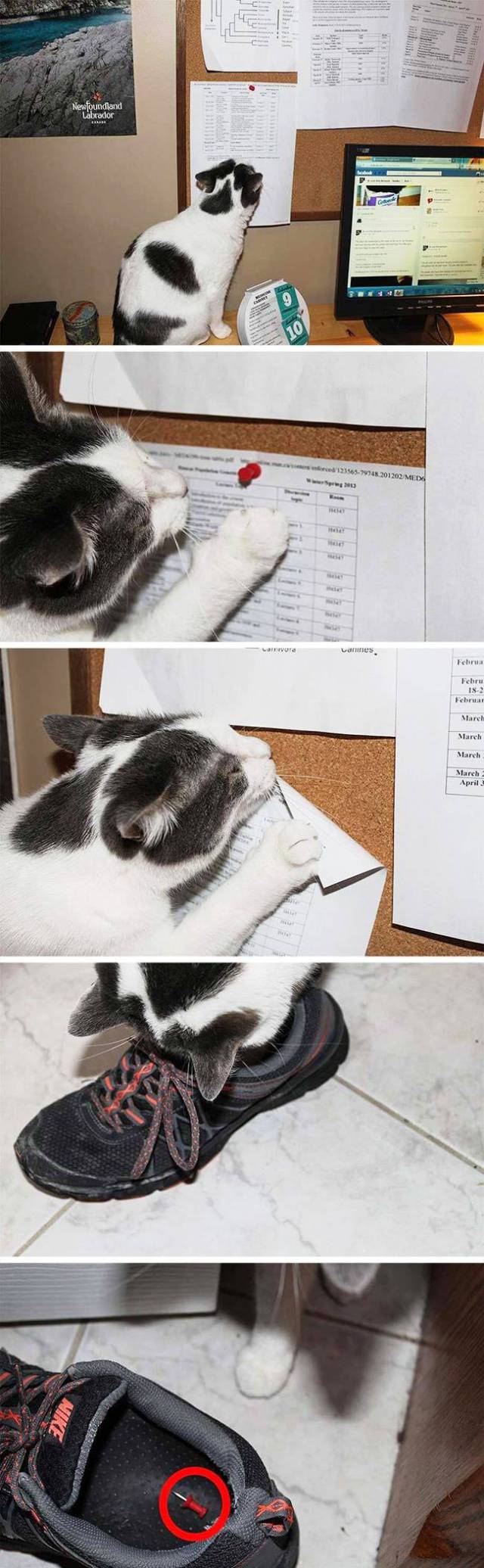 Revenge Is The Sweetest When Served Cold