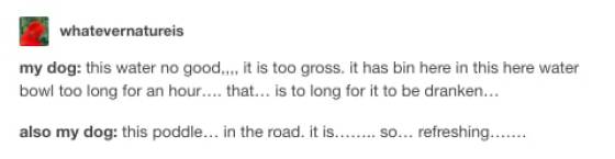 You Wouldn’t Want To See This Post