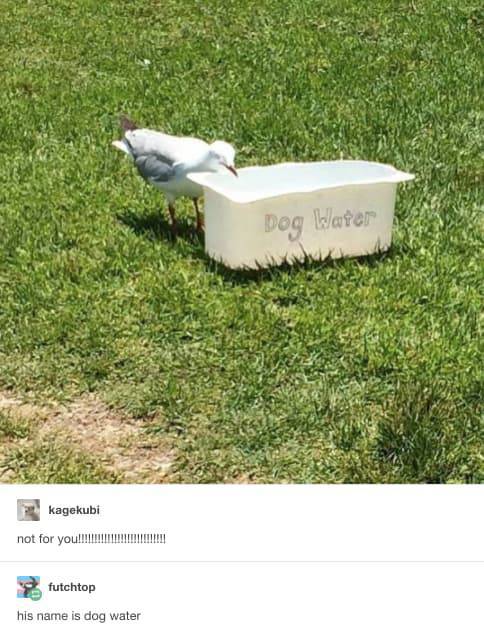 You Wouldn’t Want To See This Post