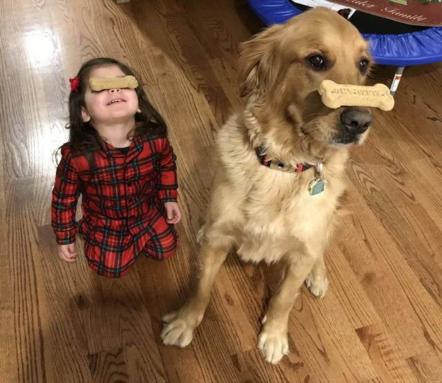 daily picdump 91 pics 15.html - 91 HD Photos | Premium Gallery 2017