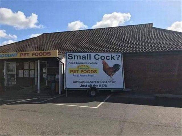 daily picdump 91 pics 15.html - 91 HD Photos | Premium Gallery 2017