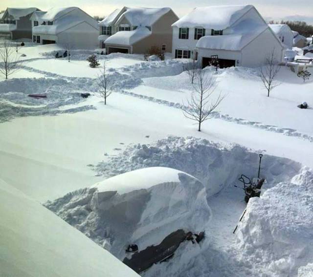 daily picdump 91 pics 15.html - 91 HD Photos | Premium Gallery 2017