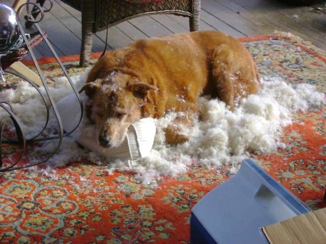 daily picdump 91 pics 15.html - 91 HD Photos | Premium Gallery 2017