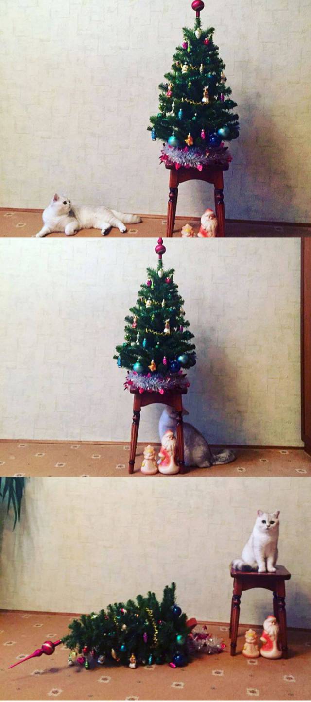 daily picdump 91 pics 15.html - 91 HD Photos | Premium Gallery 2017