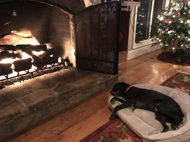 morning picdump 50 pics 12.html - 50 HD Photos | Premium Gallery 2017