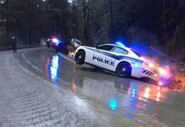 daily picdump 92 pics 33.html - 92 HD Photos | Premium Gallery 2017