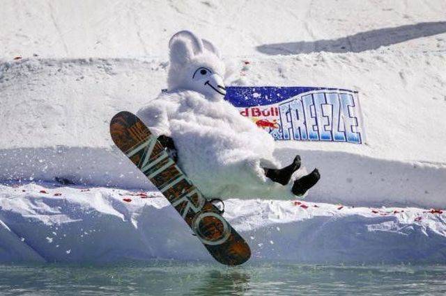 daily picdump 92 pics 33.html - 92 HD Photos | Premium Gallery 2017