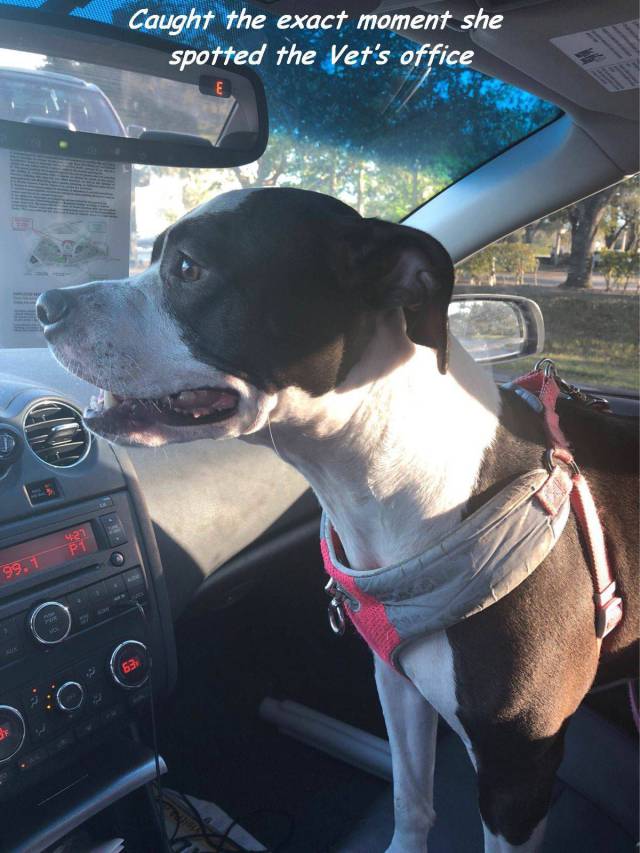 daily picdump 92 pics 33.html - 92 HD Photos | Premium Gallery 2017