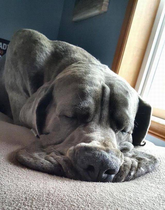 daily picdump 92 pics 33.html - 92 HD Photos | Premium Gallery 2017