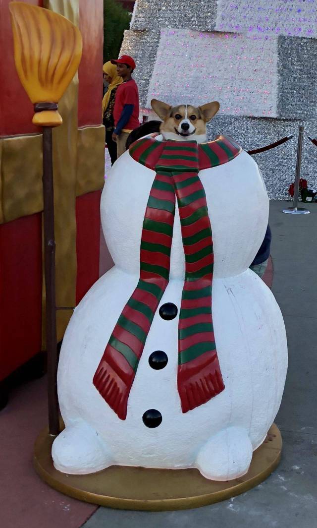 daily picdump 92 pics 33.html - 92 HD Photos | Premium Gallery 2017