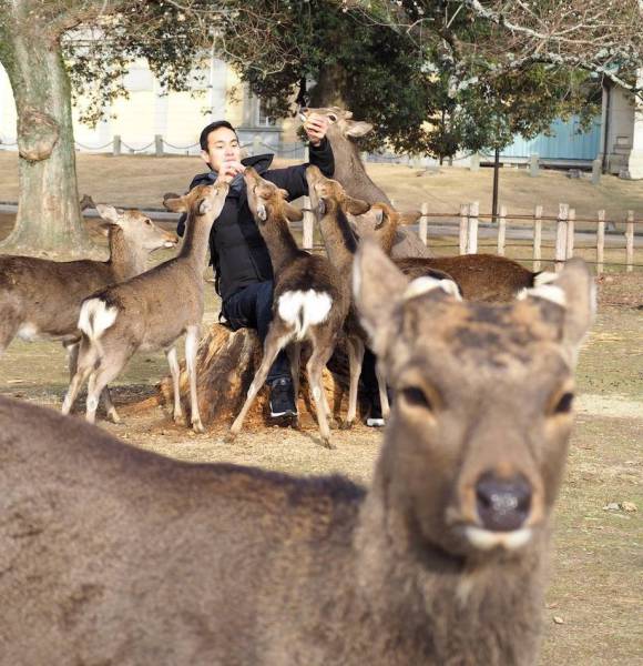 Daily Picdump [WEEKEND EDITION]