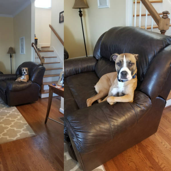 Daily Picdump [WEEKEND EDITION]