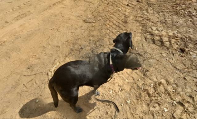 Google Maps Are Full Of Creepy Glitches