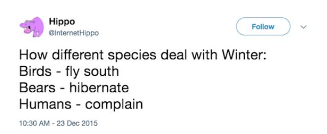 Chill Out And Check These Cool Jokes